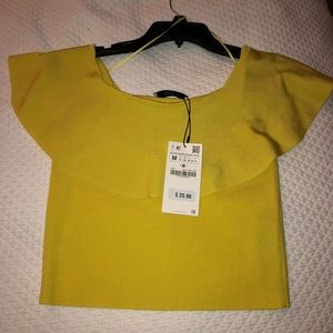 Zara off the shoulder knit top